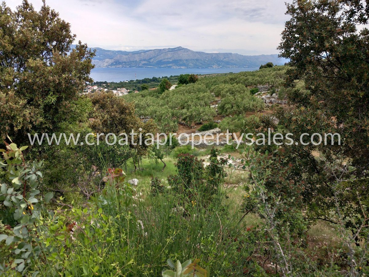BRAČ