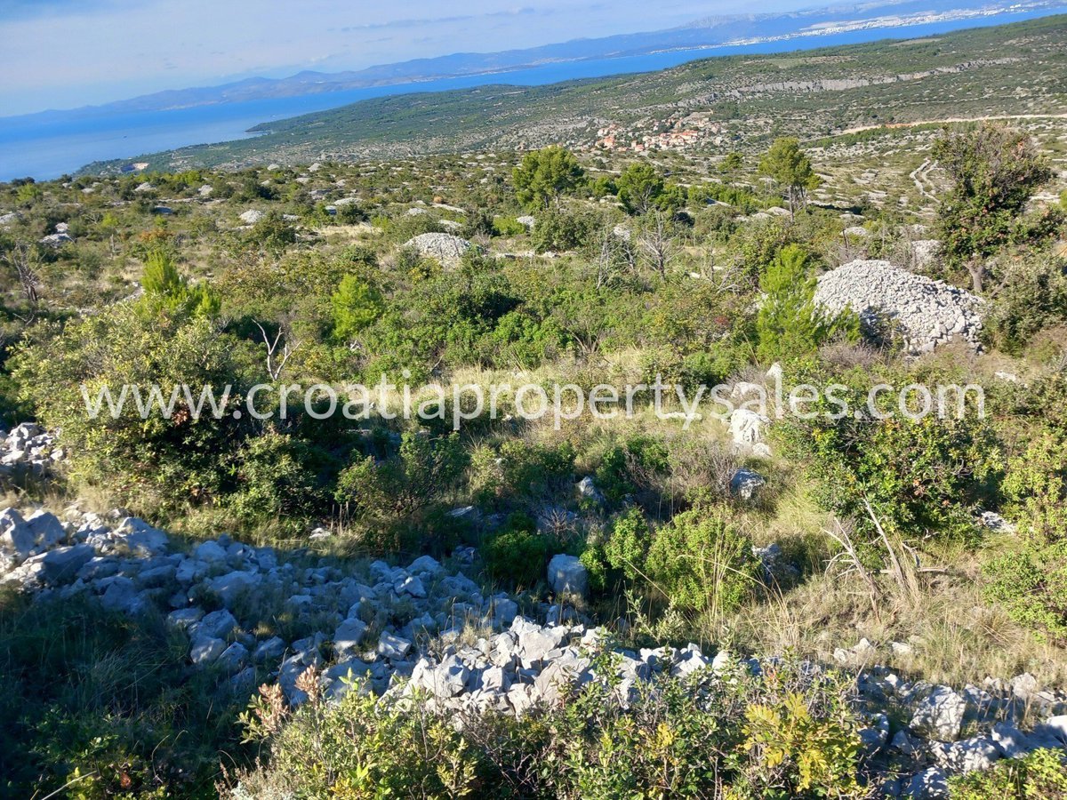 BRAČ