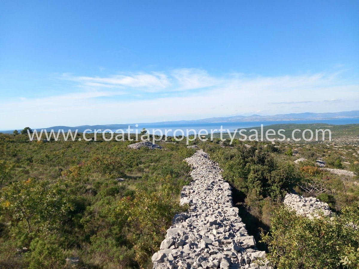 BRAČ