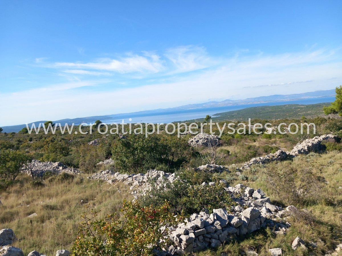 BRAČ