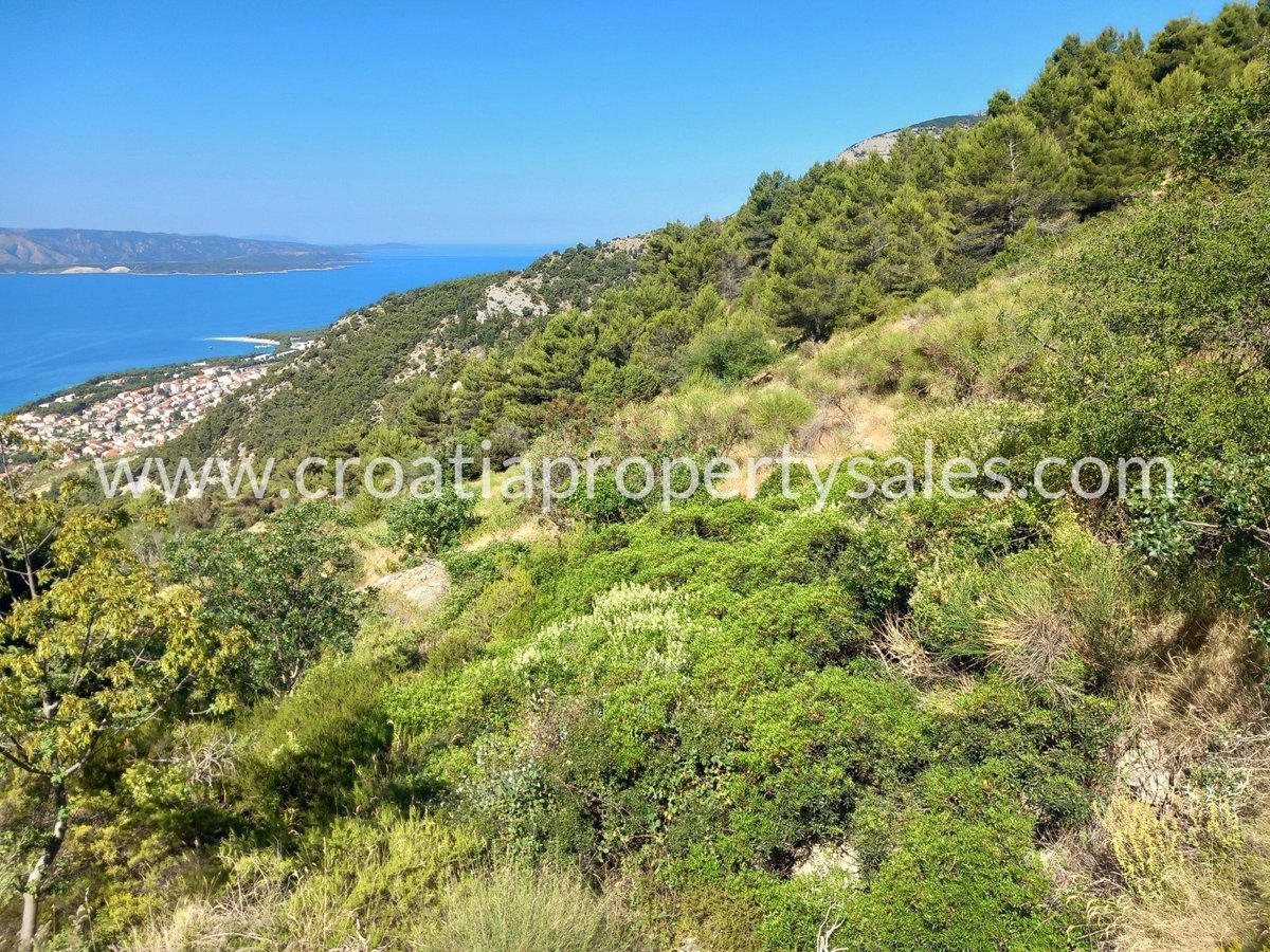 BRAČ