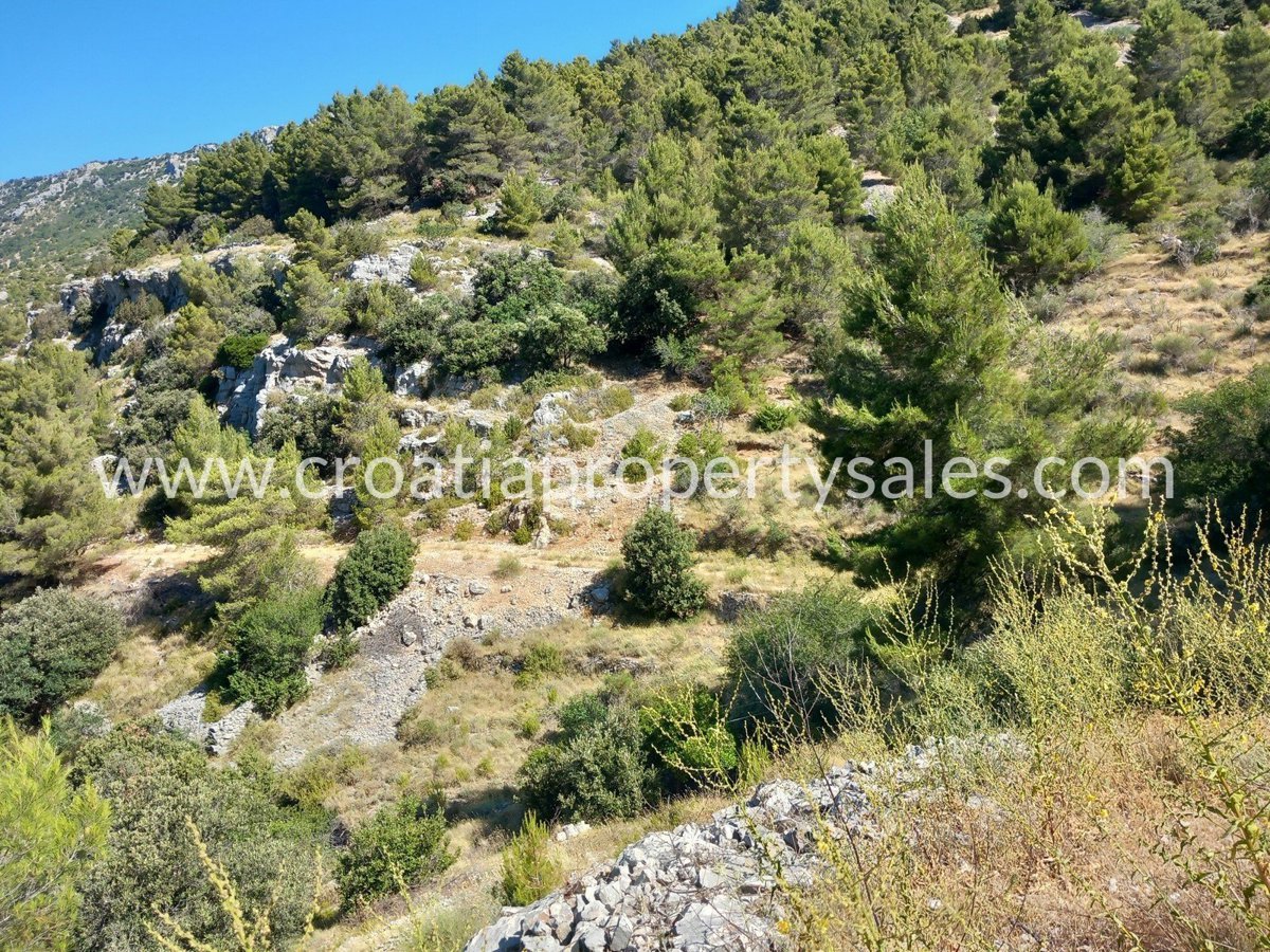 BRAČ