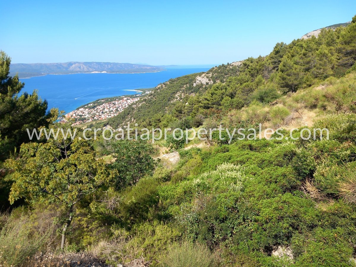 BRAČ