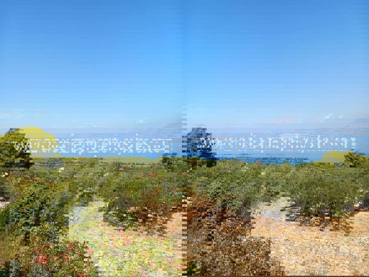 BRAČ