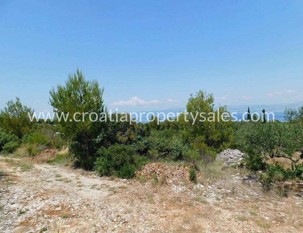 BRAČ