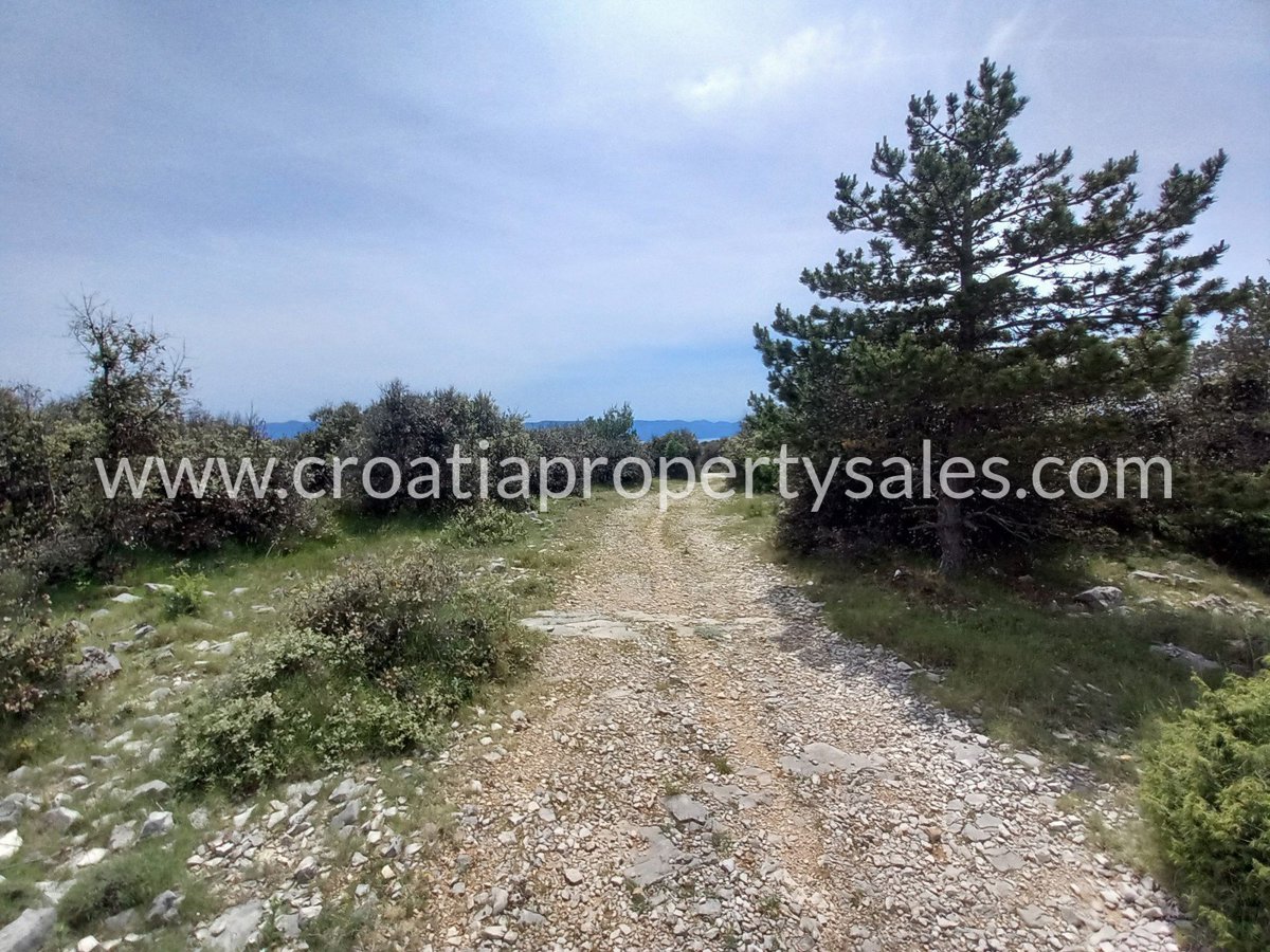 BRAČ
