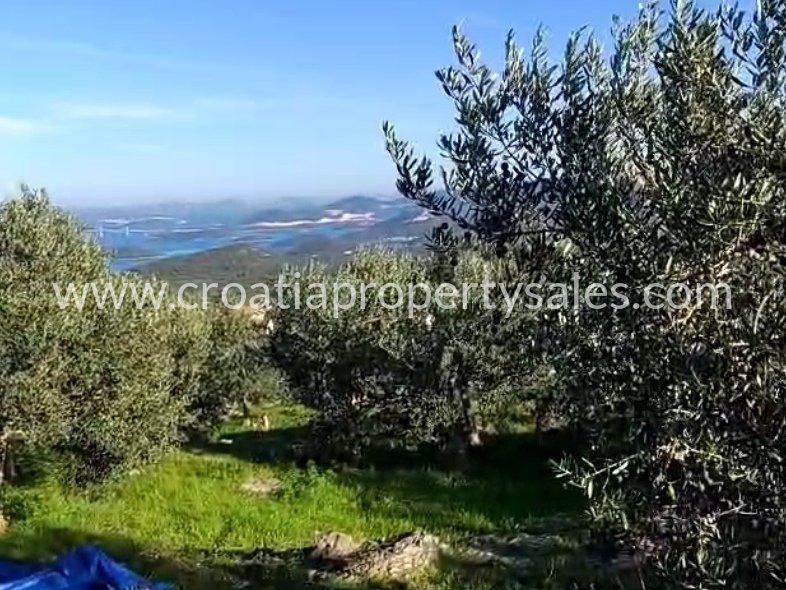 PELJEŠAC