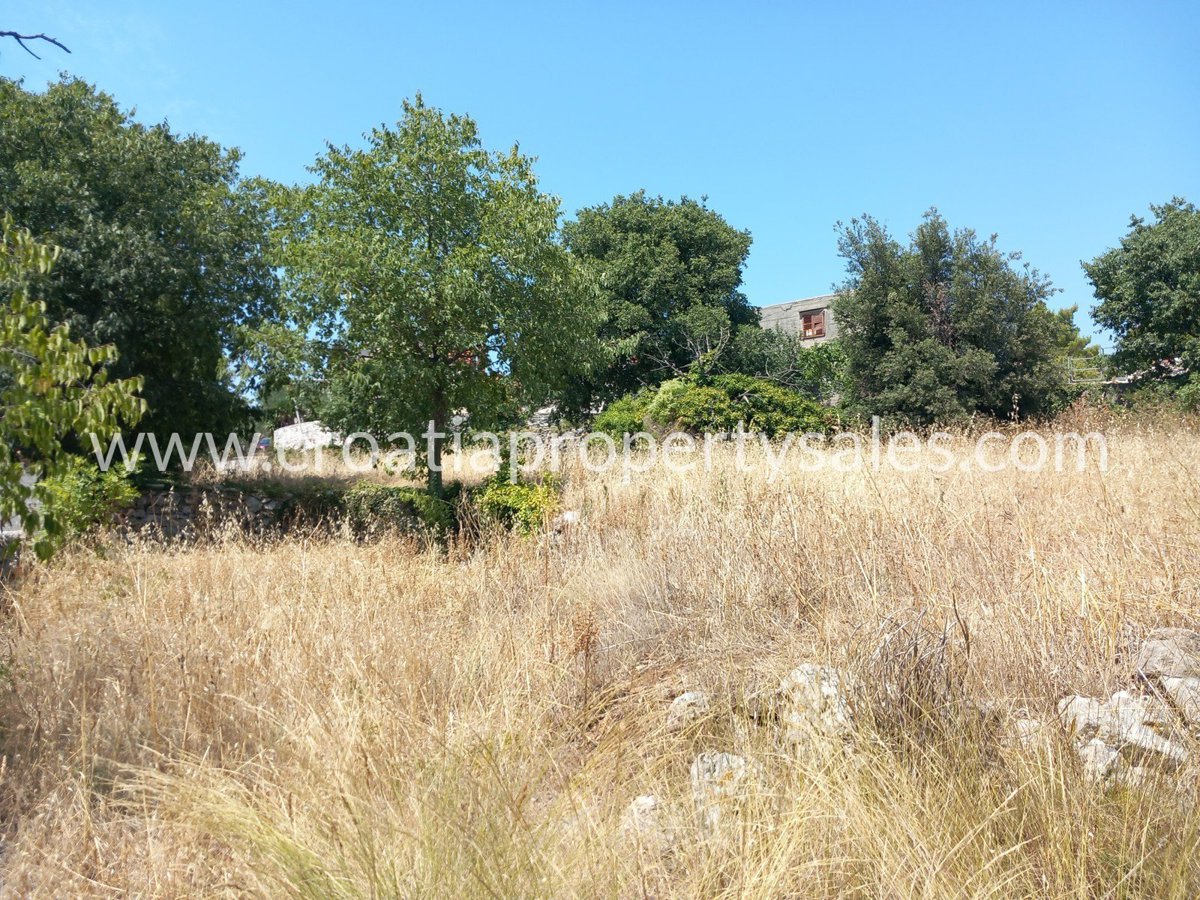BRAČ