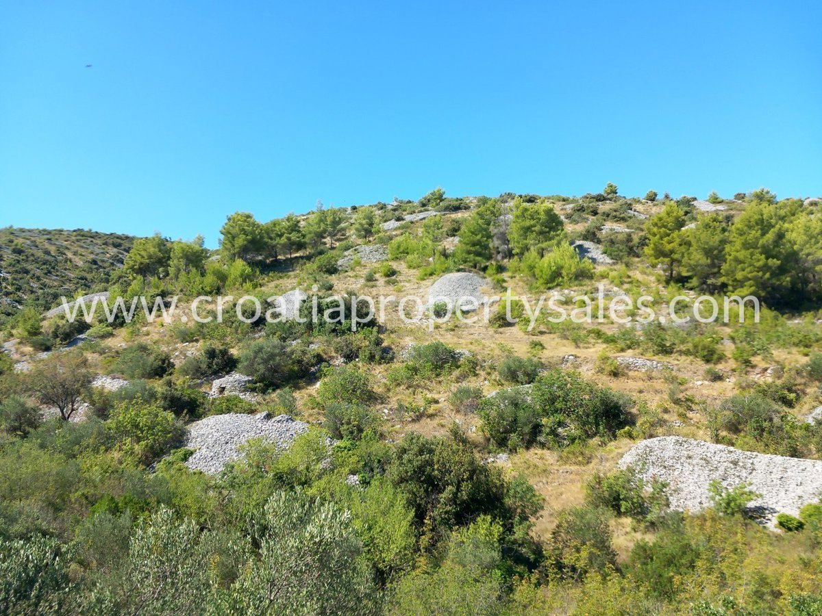 BRAČ
