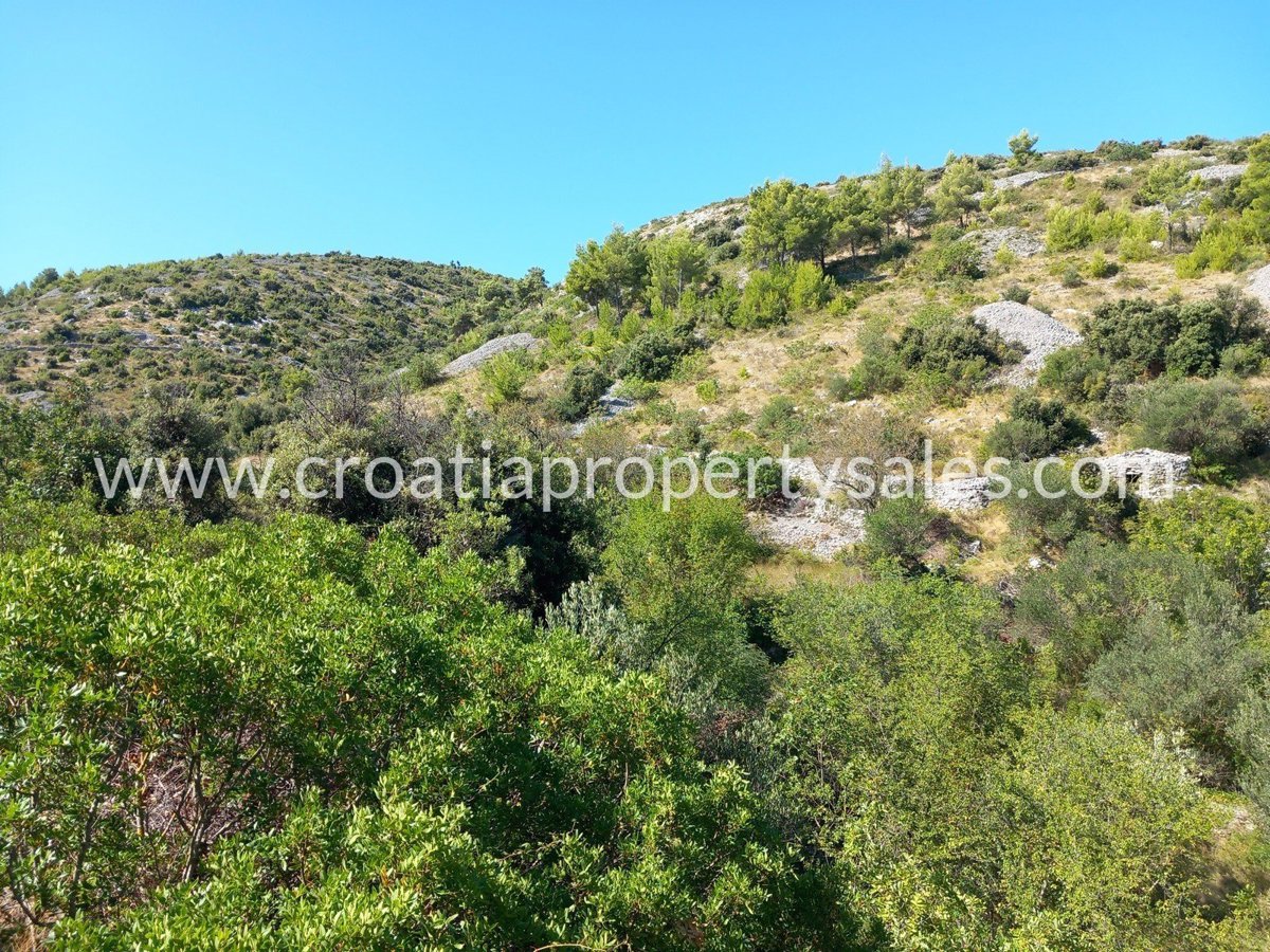 BRAČ