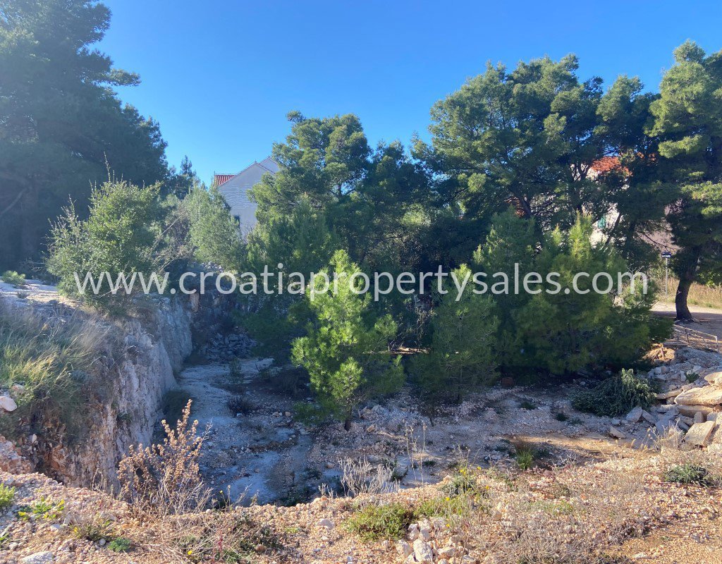 BRAČ