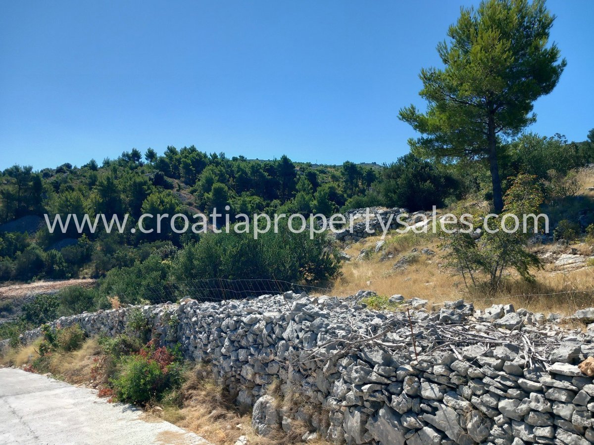 BRAČ