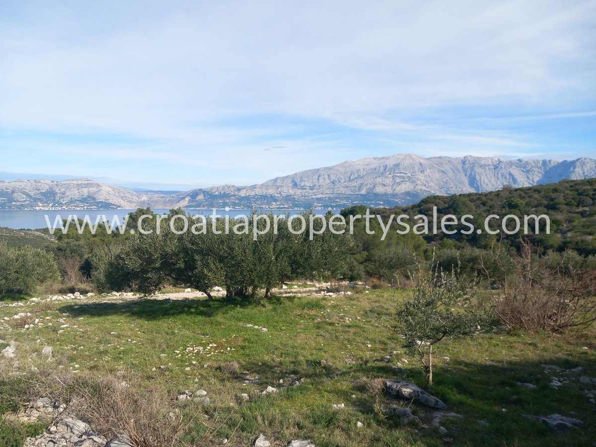 BRAČ