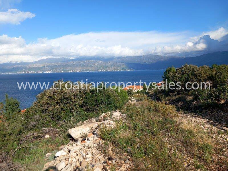 BRAČ