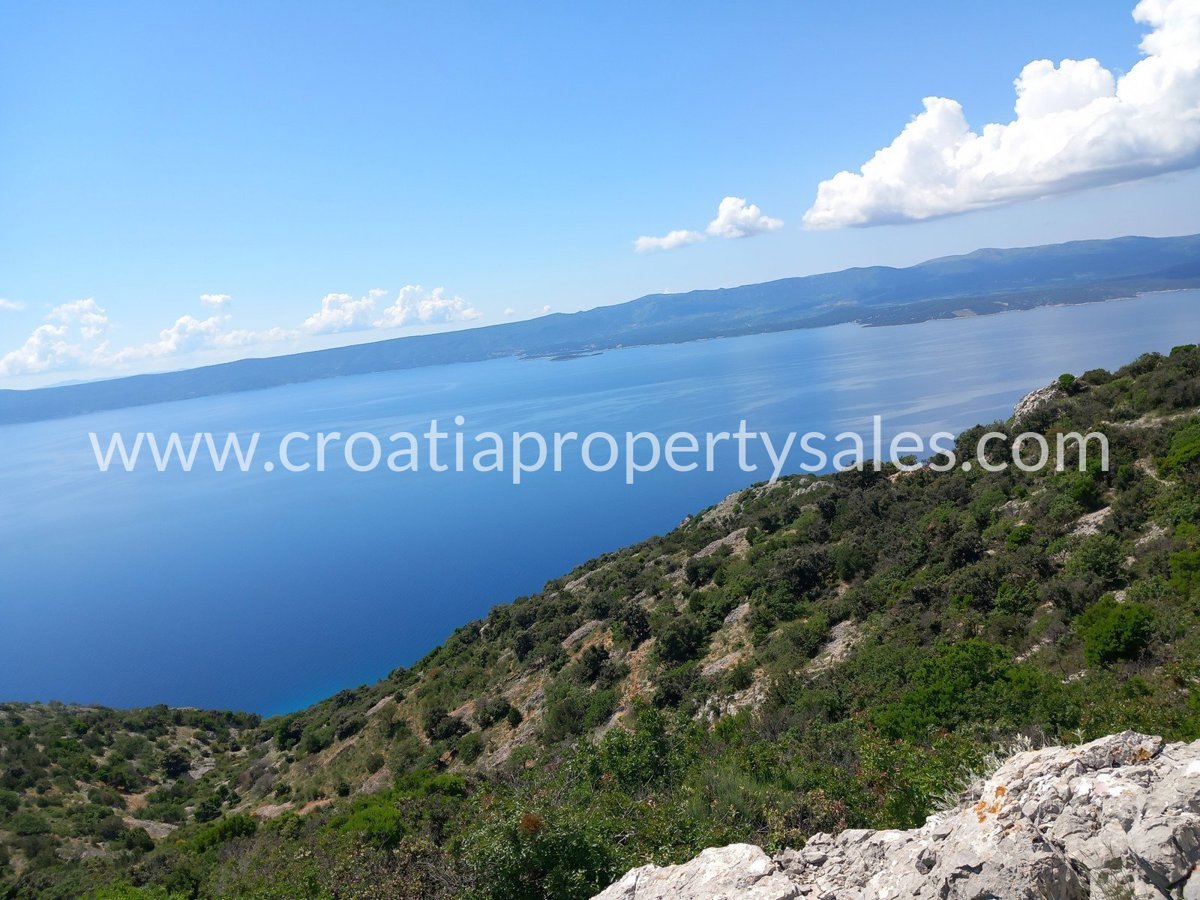 BRAČ
