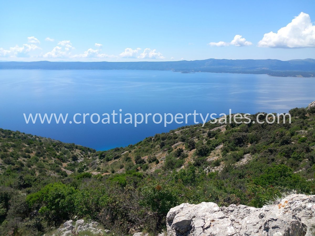 BRAČ