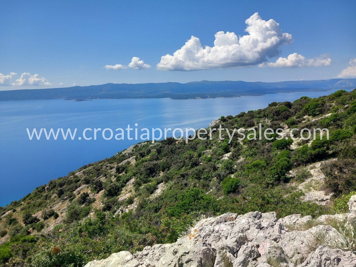 BRAČ