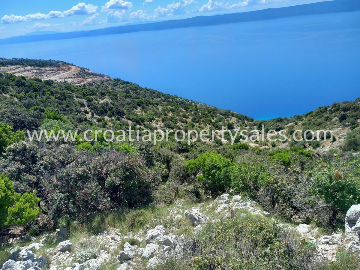 BRAČ
