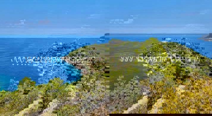 VIS