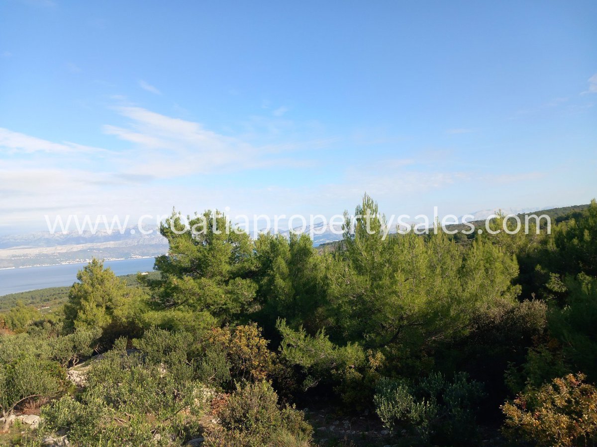 BRAČ