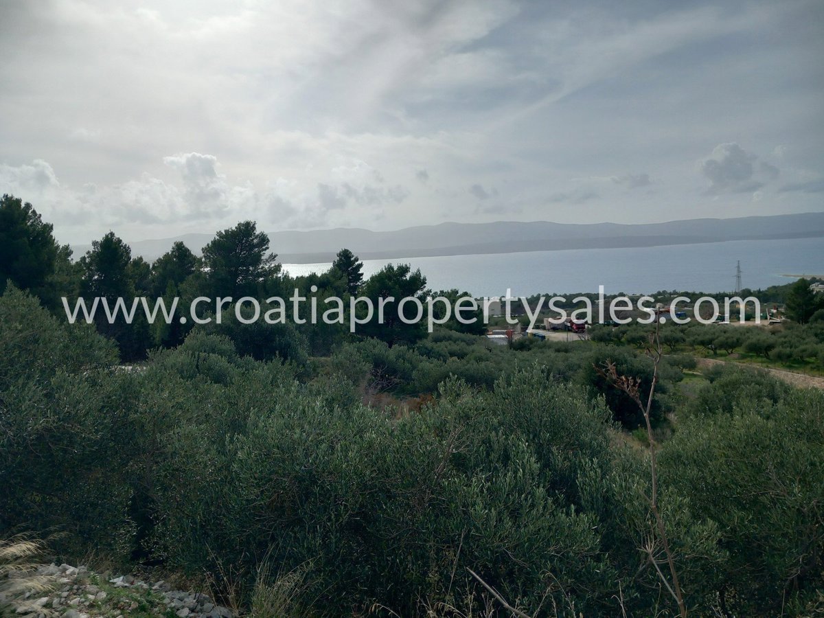 BRAČ
