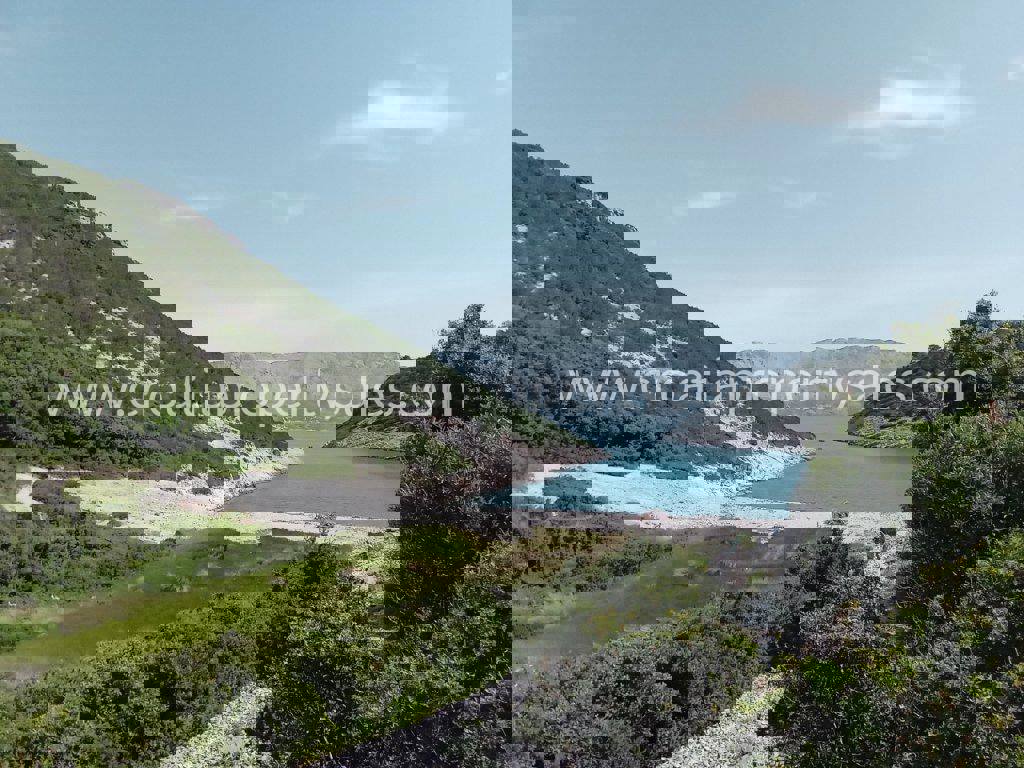 BRAČ