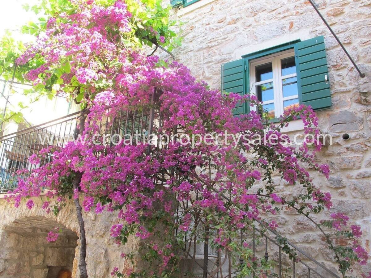 HVAR