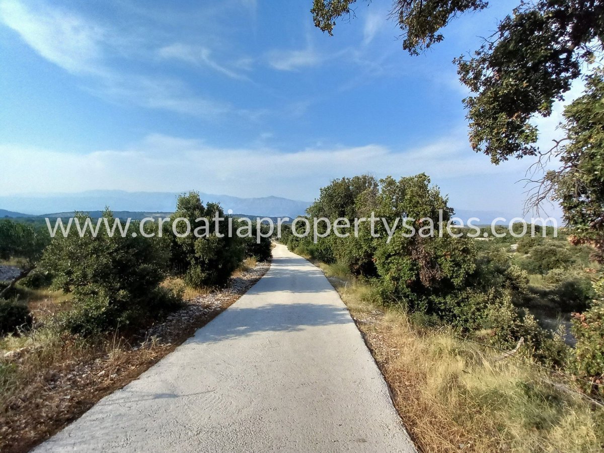 BRAČ
