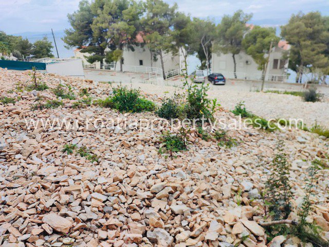 BRAČ