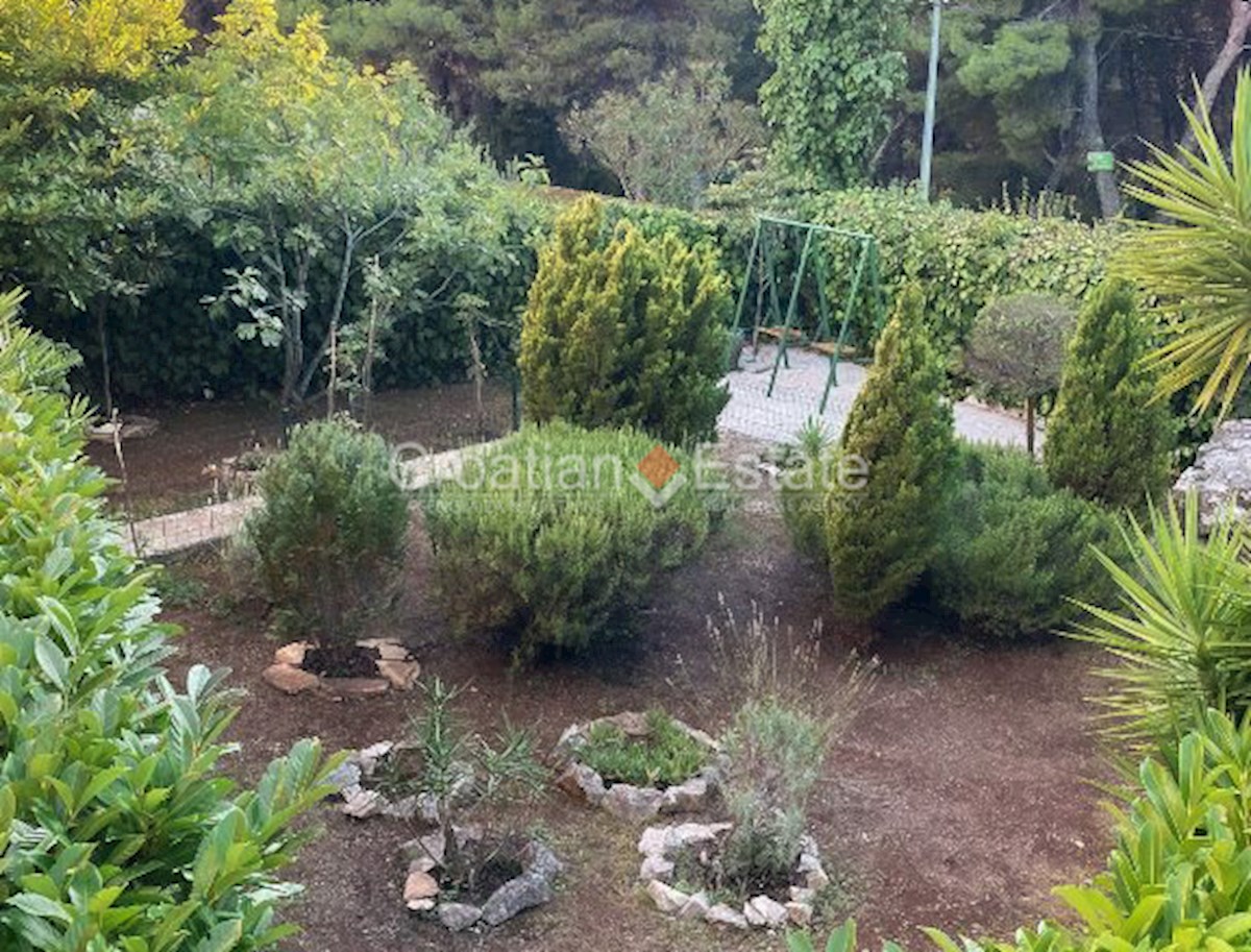 BRAČ