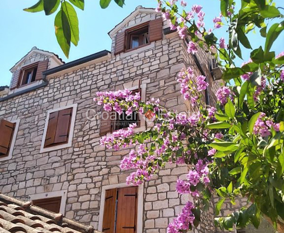 BRAČ