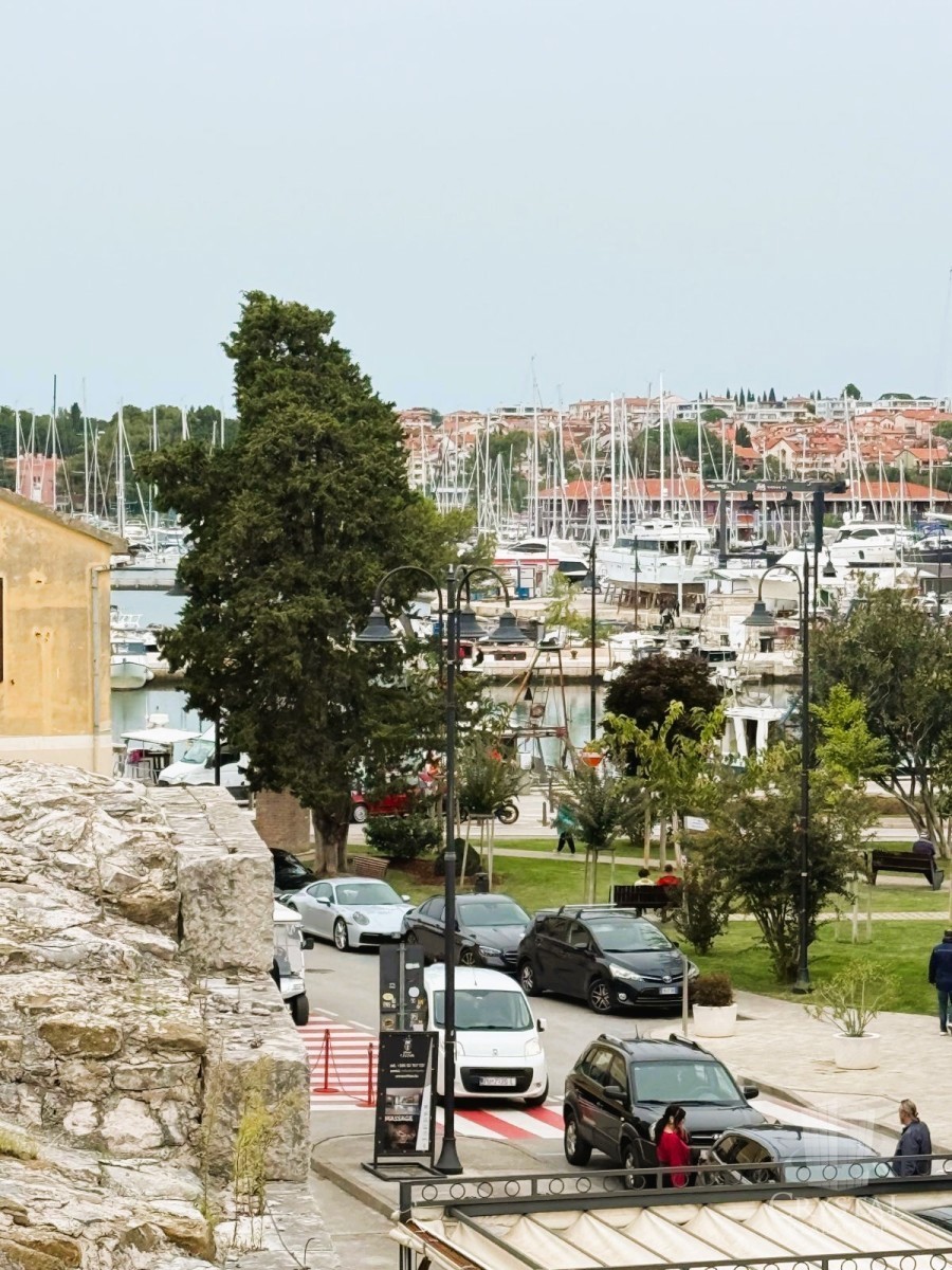 NOVIGRAD