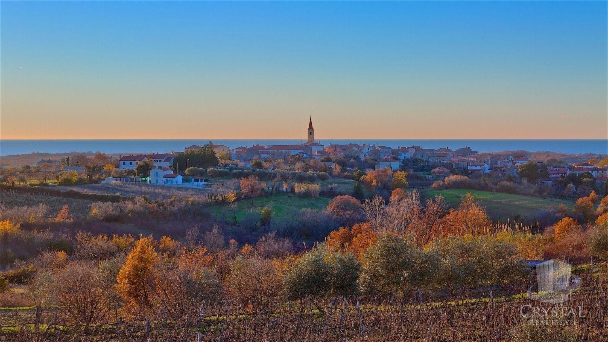 BRTONIGLA