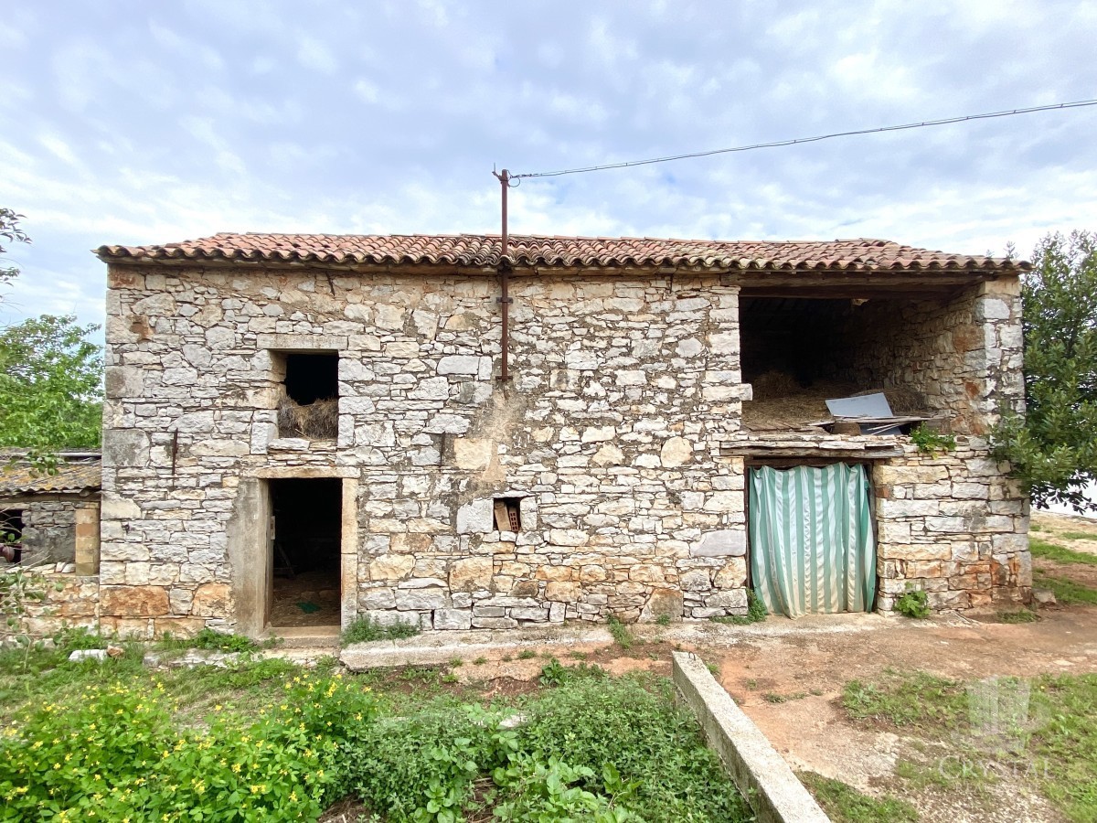 BABIĆI