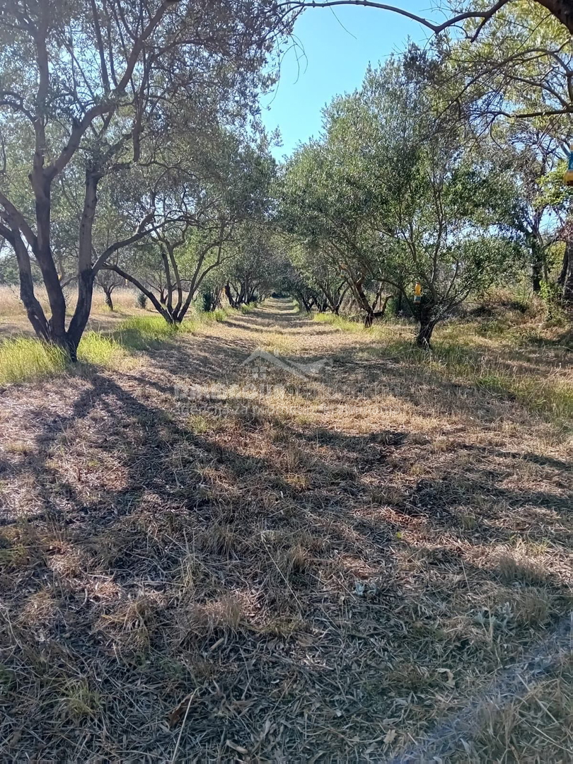 Участок ZEMUNIK DONJI, 70.000 €