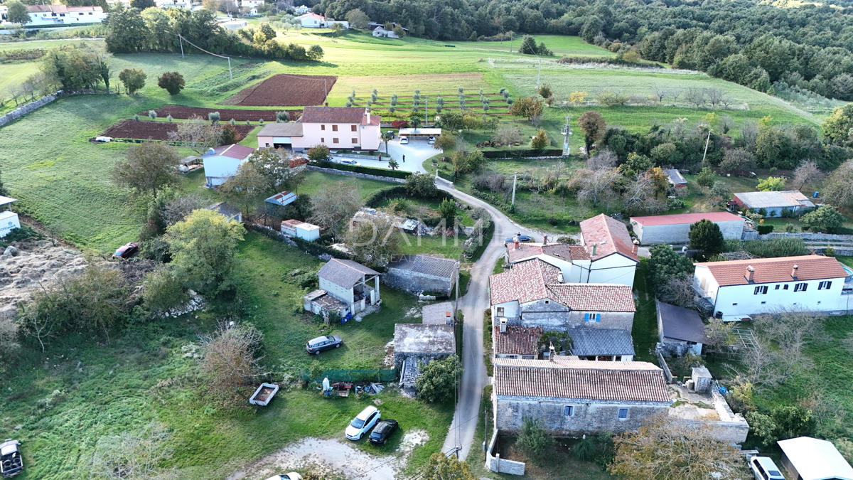 JURIĆI