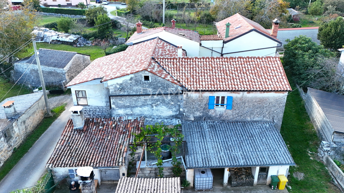 JURIĆI
