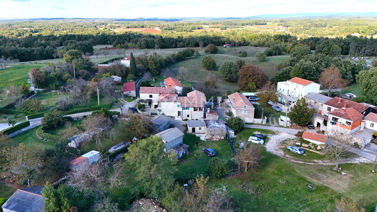JURIĆI