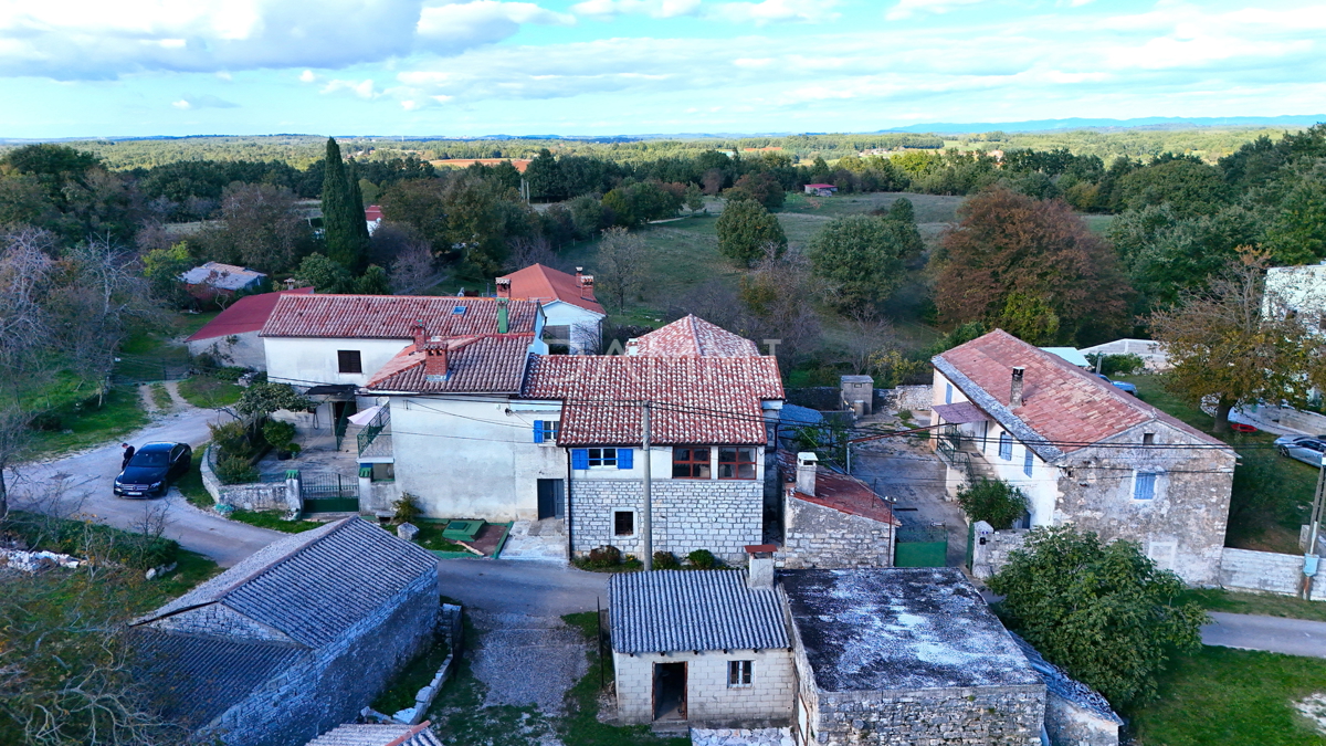 JURIĆI