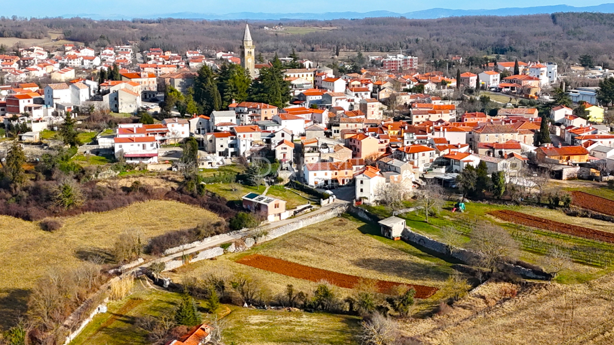 ŽMINJ