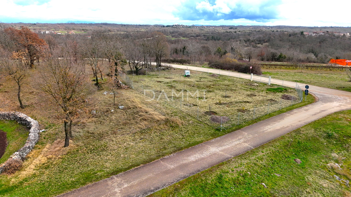 ŽMINJ