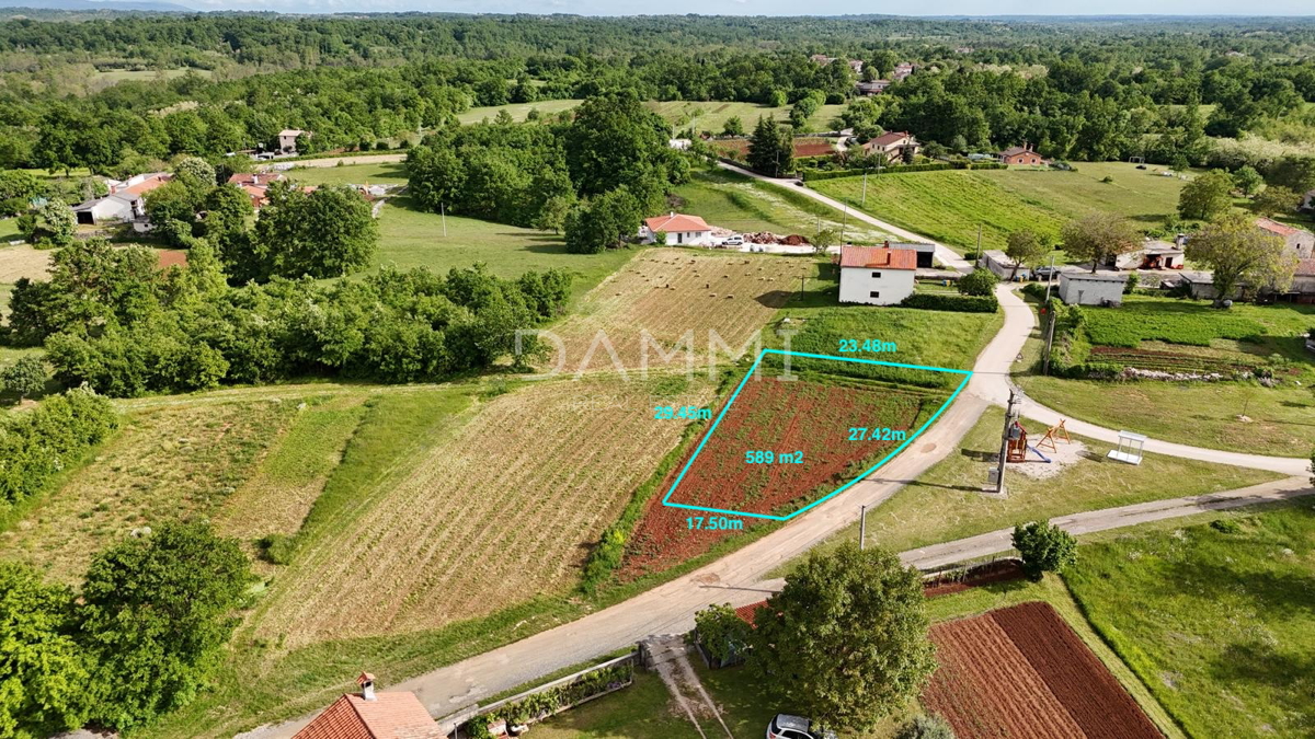 ŽMINJ