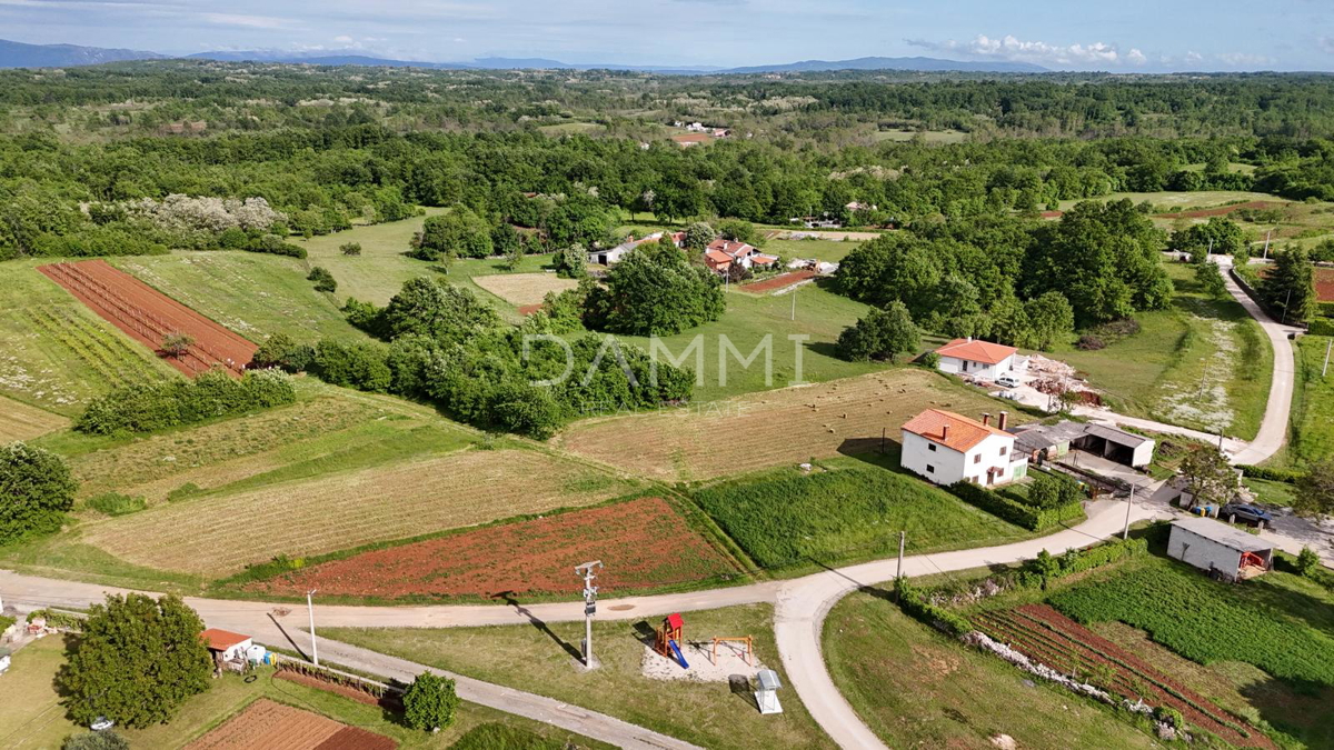 ŽMINJ
