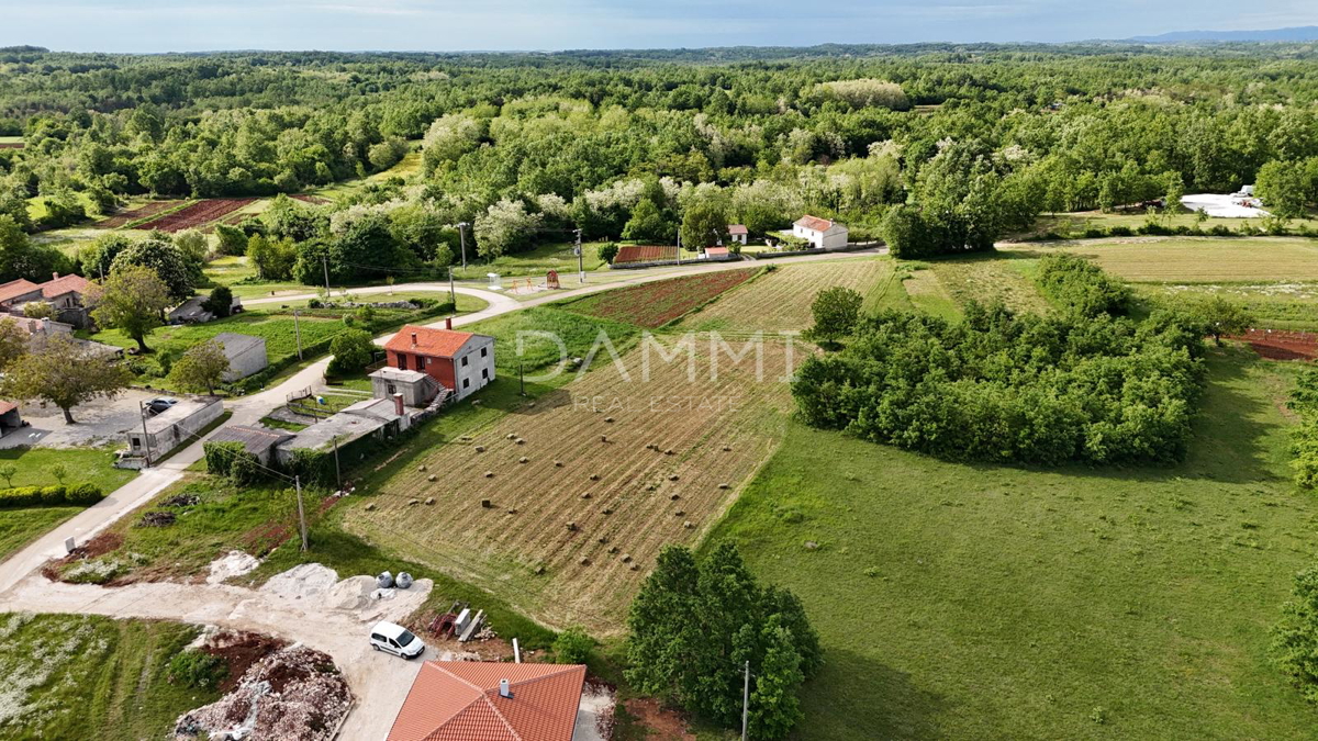 ŽMINJ