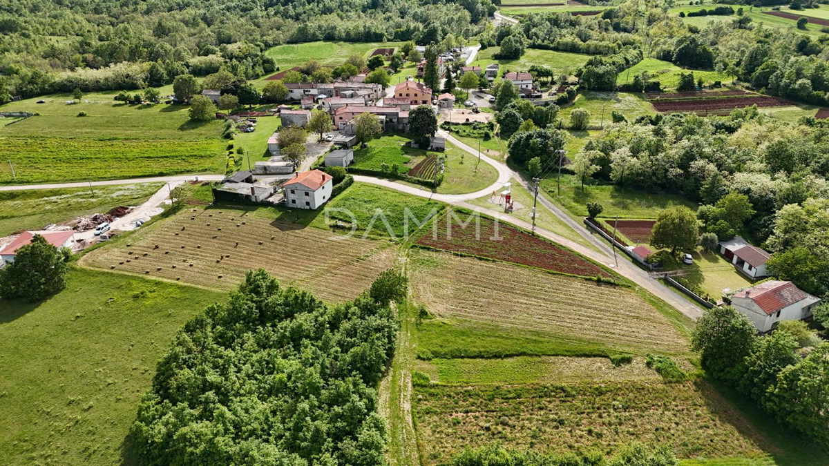 ŽMINJ