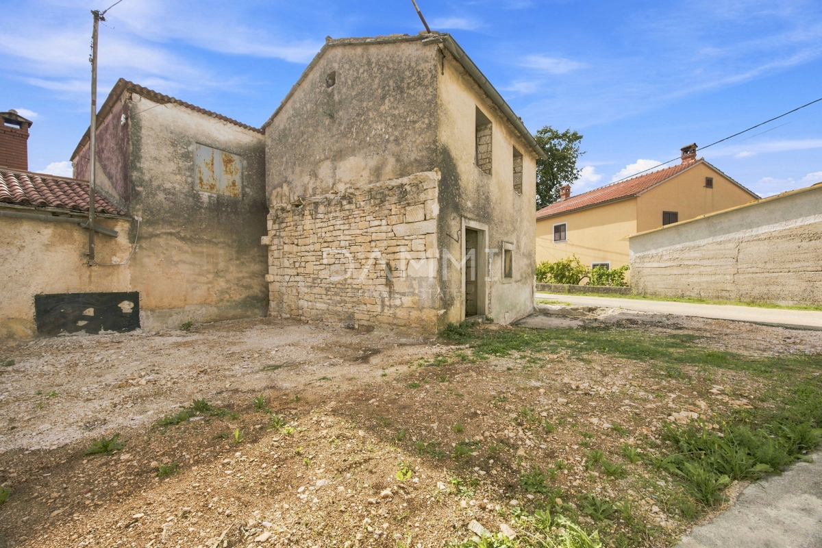 image 14