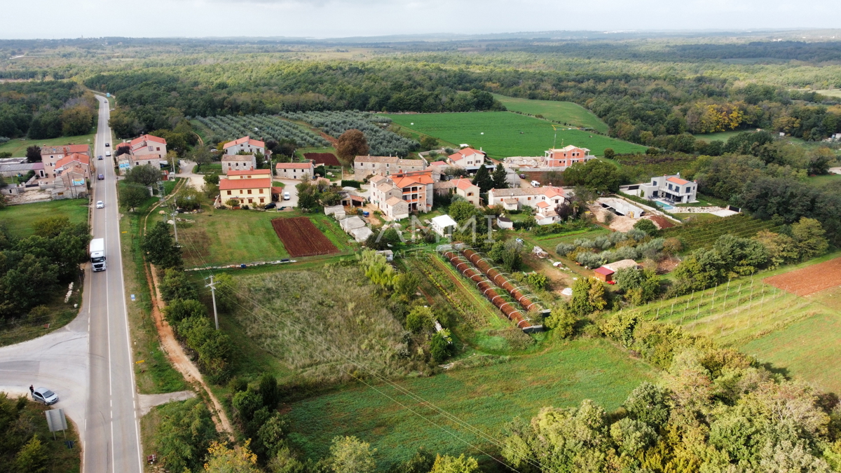 VIŠNJAN