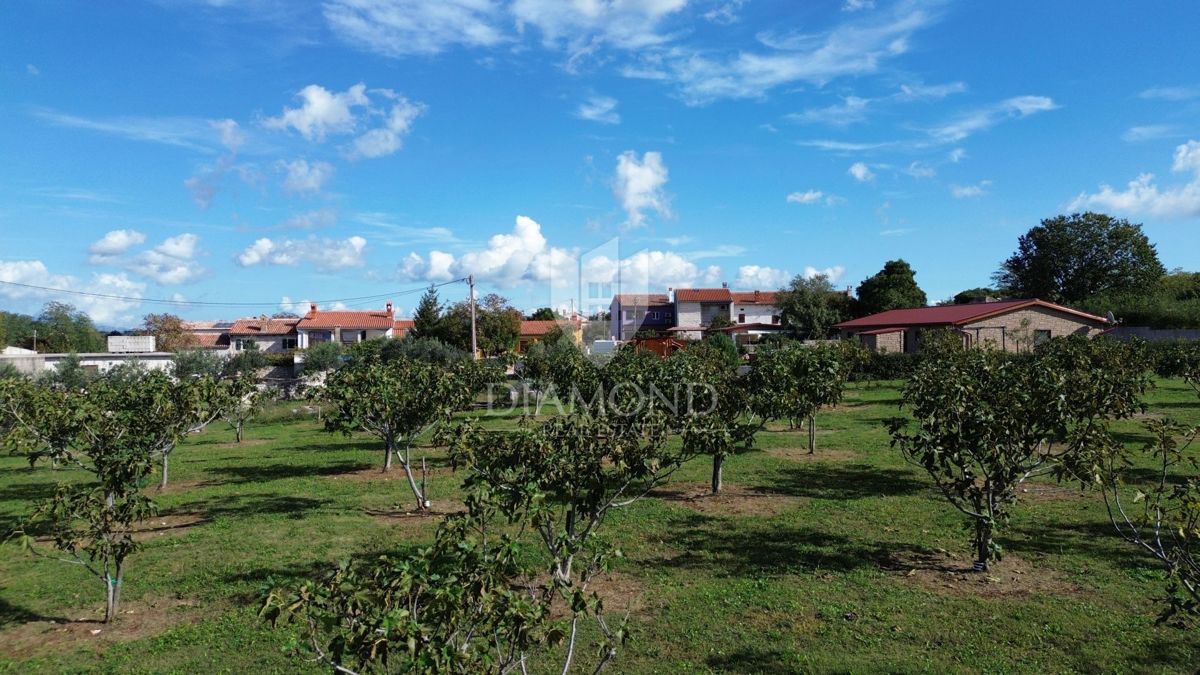 MARČANA