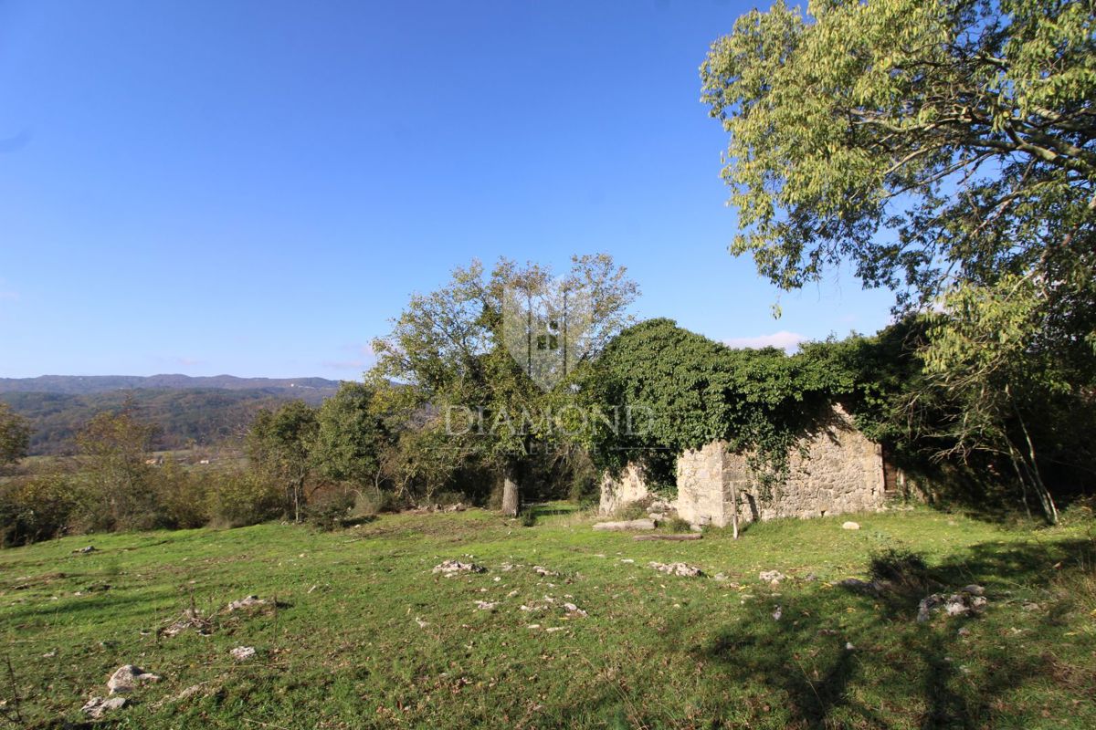 BOLJUN
