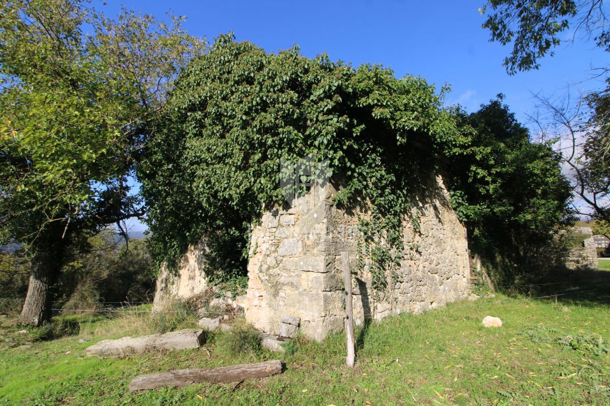 BOLJUN